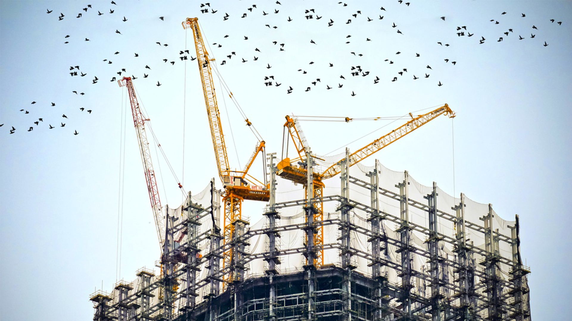Nature and Scope of Sales Tax on Services Related to the Construction Industry